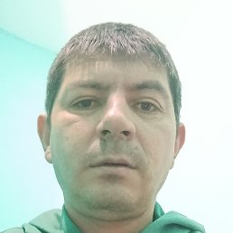 ���� ������, ����, 41 ���