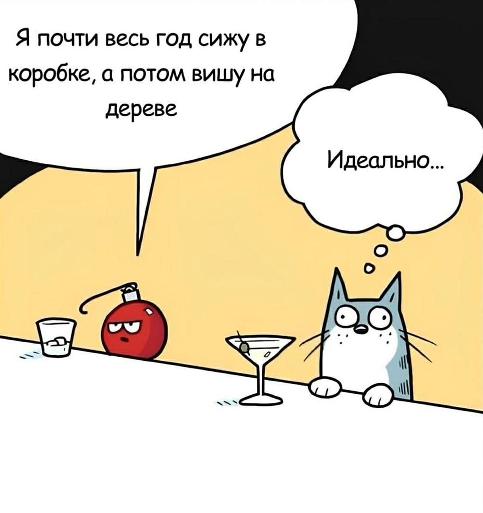 ���� ��� ���� - 12 ������ 2025 � 00:58