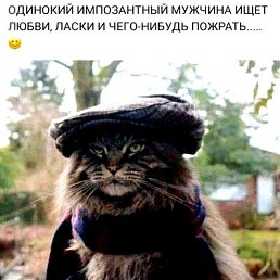 ���� V@siliy, ��������� - ��������� 12 ������� 2025