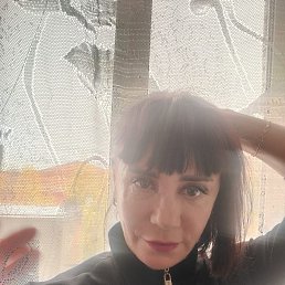 ���� �������, ����, 50 ��� - ��������� 24 ������ 2026