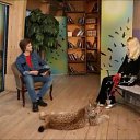 ���� ������, ������, 56 ��� - ��������� 23 ������� 2025 � ������ ���� ����������