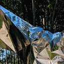 ���� ������, ������������, 48 ��� - ��������� 26 ������� 2025 � ������ ���� ����������