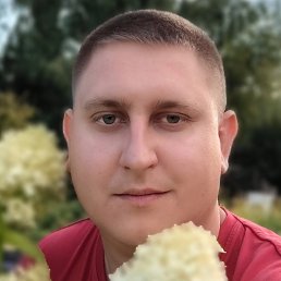 ������, �������, 29 ���