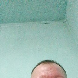 ������, 39 ���, ������