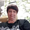 ���� ��������, ������, 43 ���� - ��������� 28 ���� 2025 � ������ ���� ����������