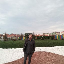 �����, �����������, 33 ����