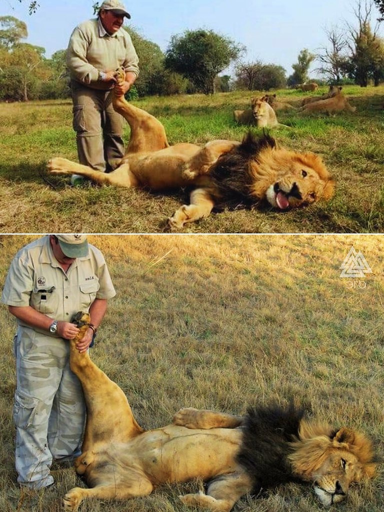 � ������� ����� � ��� ��������. ���������� ������-����� � ����� ������ ��������� ������ ����� ...