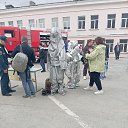 ���� ����, �����������, 43 ���� - ��������� 29 ������ 2025 � ������ ���� ����������