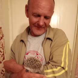 , 54 , 