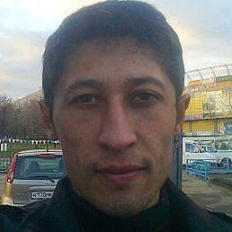 �����, ������, 41 ���