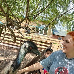 ��������, 31 ���, ������