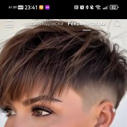 ���� ���, �����, 44 ���� - ��������� 5 ������ 2026