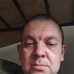 , 37, 