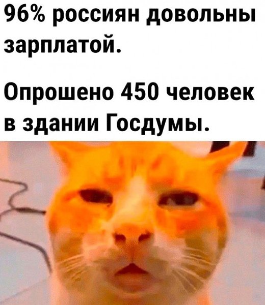 �������� - 24 ������ 2023 � 11:25