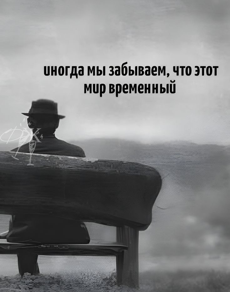  - 29  2025  12:35