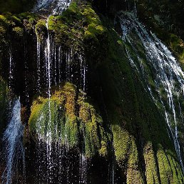 ����, �����, 65 ���