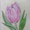 ���� ������, �������, 57 ��� - ��������� 11 ������� 2026 � ������ ������ ��������