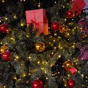 ��� ��������� ��������� ���.