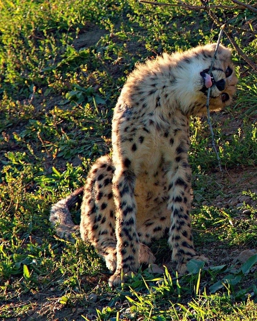 Мой случай - 4