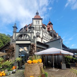 ���� �������, ������������, 52 ���� - ��������� 6 ������� 2025