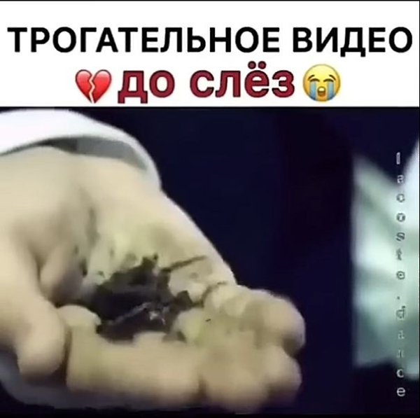      - 2