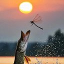 ���� �����, ��������������, 66 ��� - ��������� 29 ���� 2024 � ������ ������ ��������