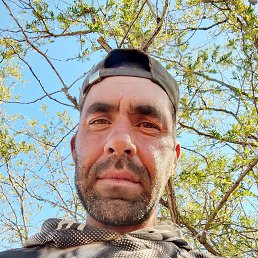 , 41, 