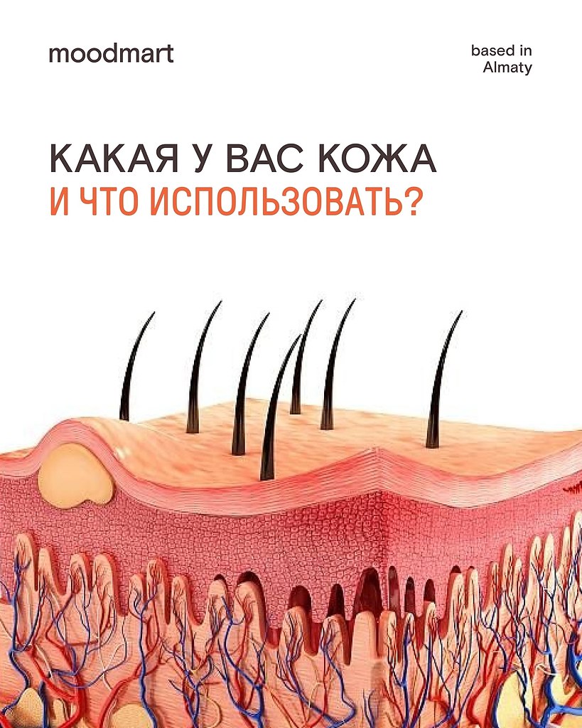   ,   ,    ?        ...