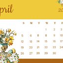 ���� ��������, �����, 60 ��� - ��������� 7 ������ 2026 � ������ ������ ��������