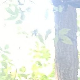 ������, ������, 52 ����