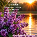 ���� �����, �����-���������, 74 ���� - ��������� 28 ��� 2026 � ������ ������ ��������