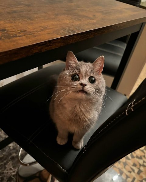 Ÿ  .   2 .           ... - 2