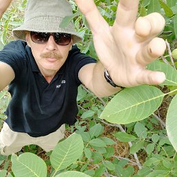 �������, ������, 52 ����