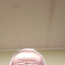 ������, 65 ���, ������