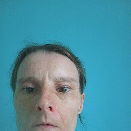 �����, 40 ���, ����