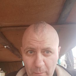 ������, 45 ���, ������