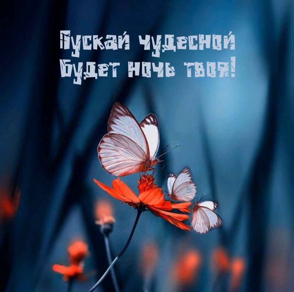   :)