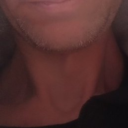 �������, ������, 46 ���