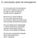 ���� �����, ��������� - ��������� 8 ������� 2025 � ������ ���� ����������
