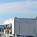 ���� �����, �����, 39 ��� - ��������� 23 ������� 2025 � ������ ������ ��������