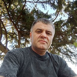 ����, 49 ���, ��������