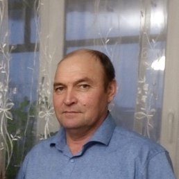 ����, 49 ���, ���