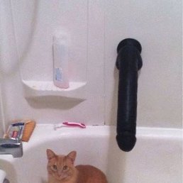 ������, ������, 50 ���