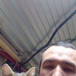  , 35,  
