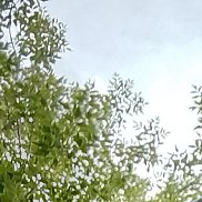 Oleg, 46 ���, ���������