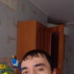 , 35, 