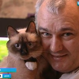 ��������, �����, 60 ���