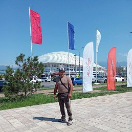 , 33, 
