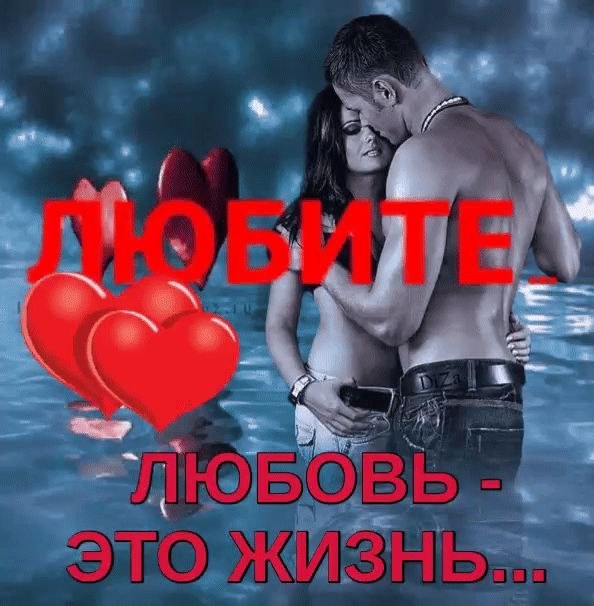 ������ - 17 ���� 2026 � 16:56