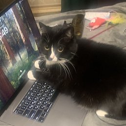 ������, ��������